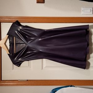 NWOT Libidex Latex Skater Dress in Purple